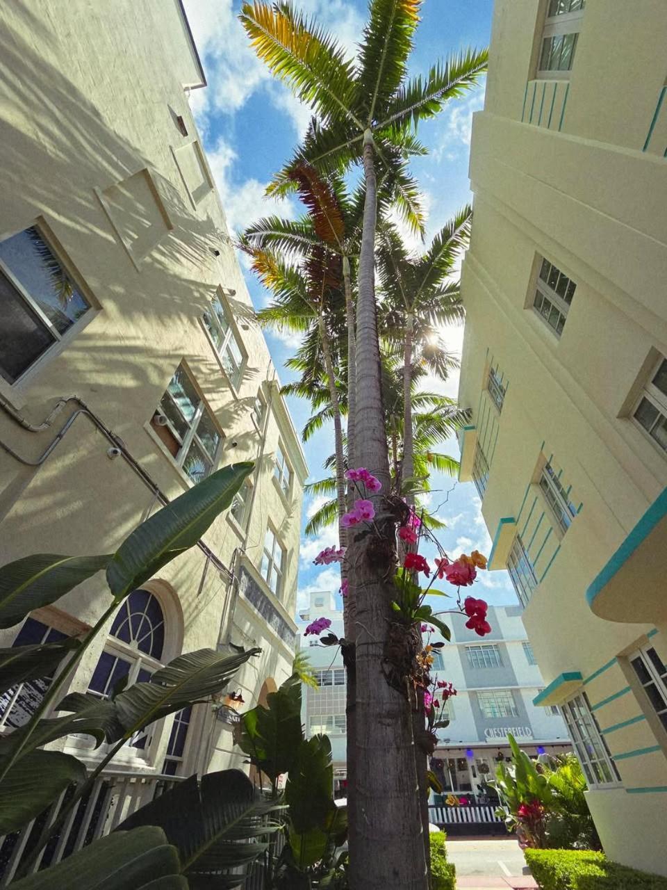 Luxuri Suites Miami Beach Ngoại thất bức ảnh